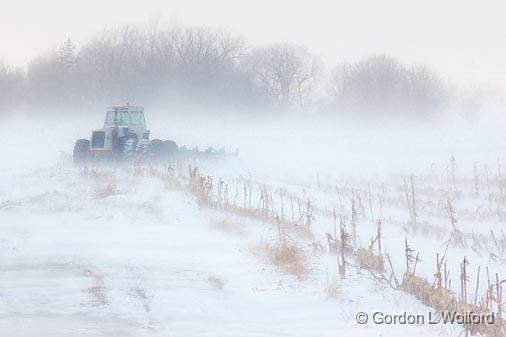 Blowing Snowscape_13367.jpg - Photographed at Ottawa, Ontario - the capital of Canada.